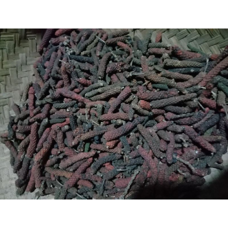 

cabe Jawa berhasiat bisa Utuk bumbu masak penganti ladah