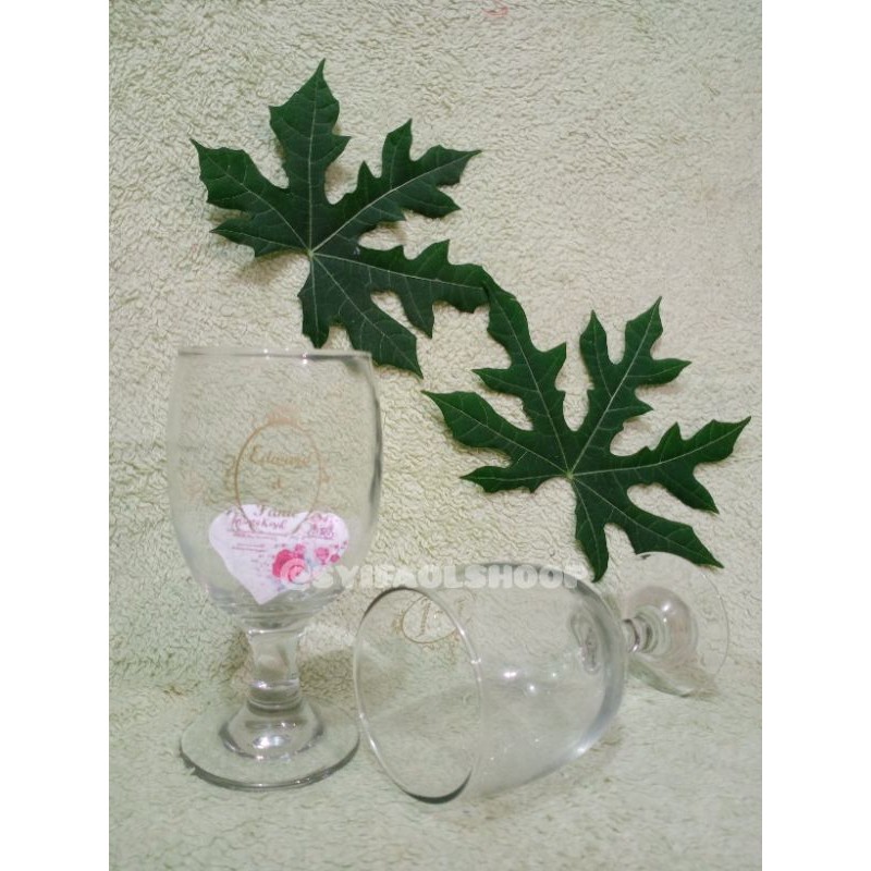 souvenir gelas wine free sablon kemas mika