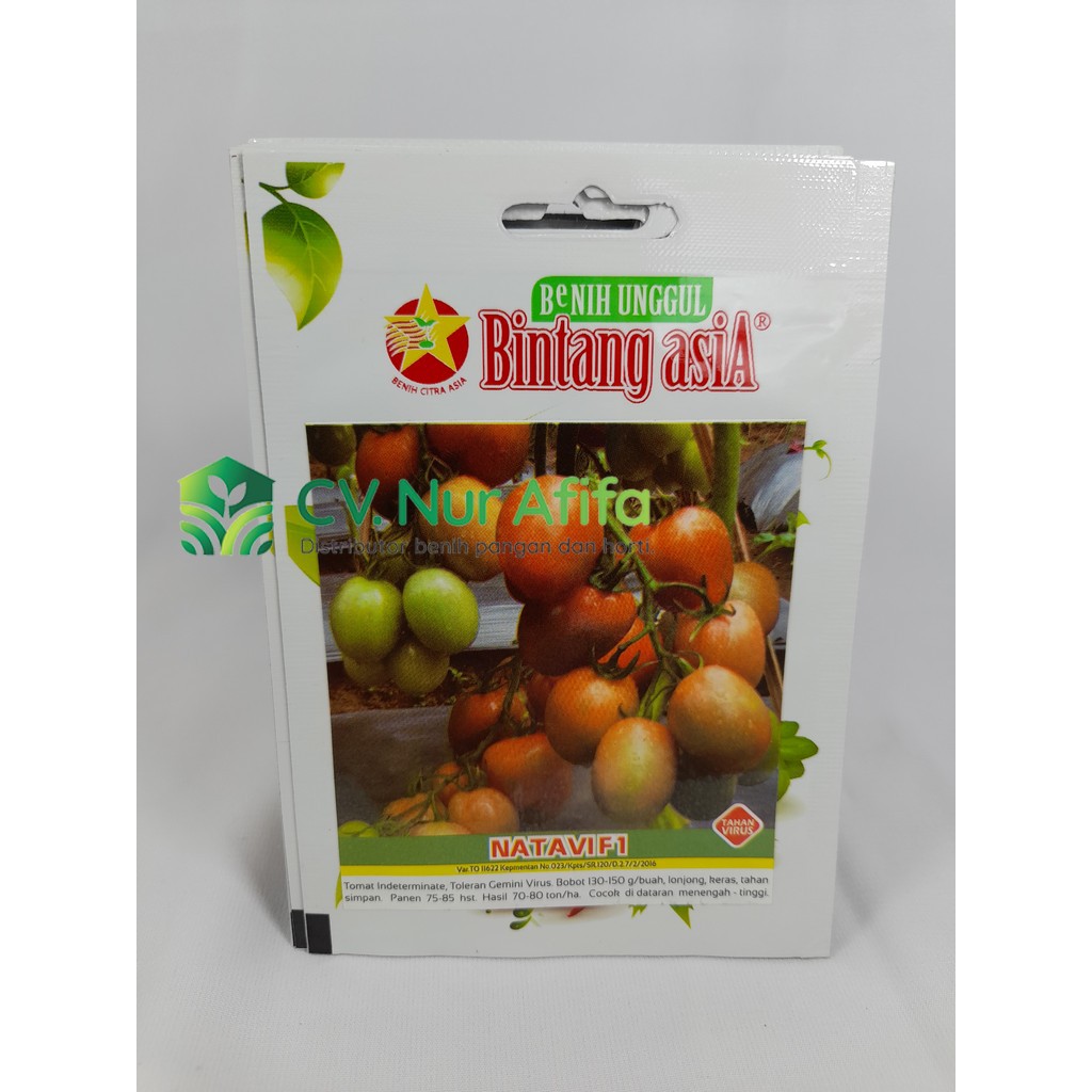 Benih Tomat NATAVI F1 0,5 gram - Bintang Asia