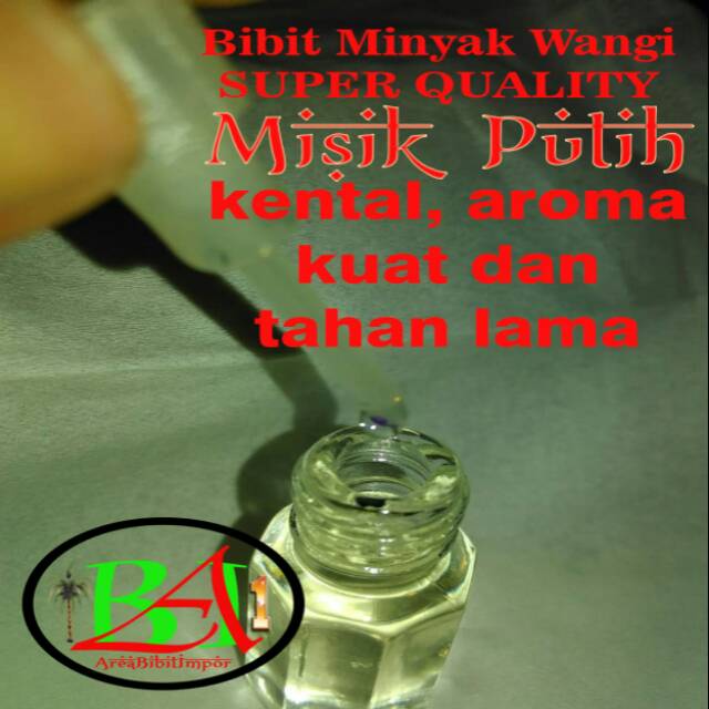 Bibit minyak wangi misik putih murni