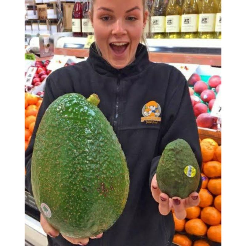 Entres Alpukat Cuba VALID