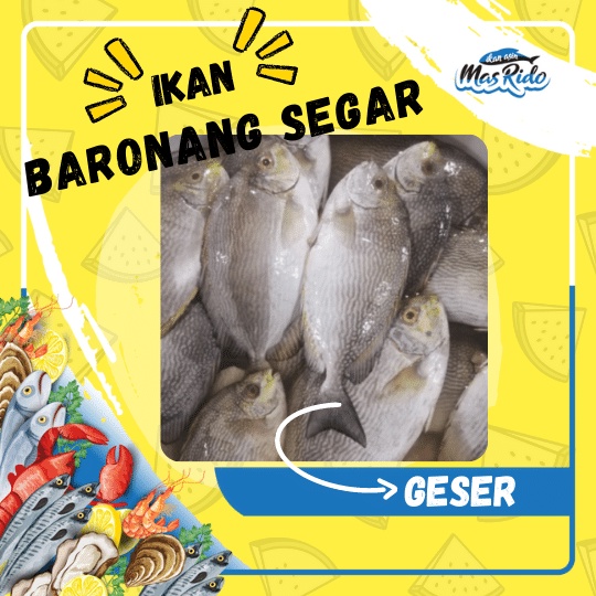 

Ikan Baronang Segar Frozen Food Super Fresh Sehat Harga Termurah
