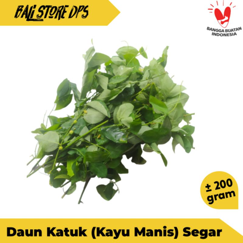 

DAUN KATUK SEGAR 200 GRAM/ DAUN KATU / DAUN KAYU MANIS SEGAR FRESH ASLI DENPASAR BALI (GOJEK ONLY)