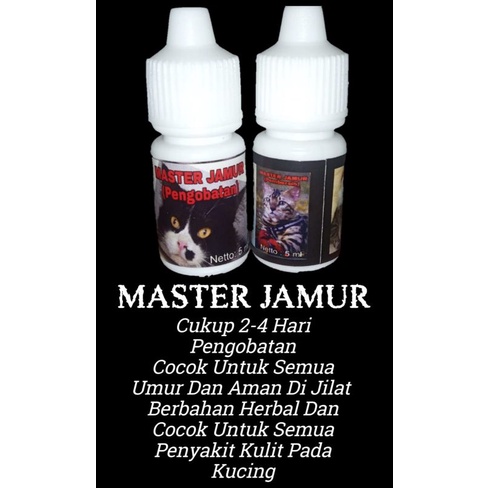 Obat Jamur untuk Kucing Segala Penyakit Kulit Hewan