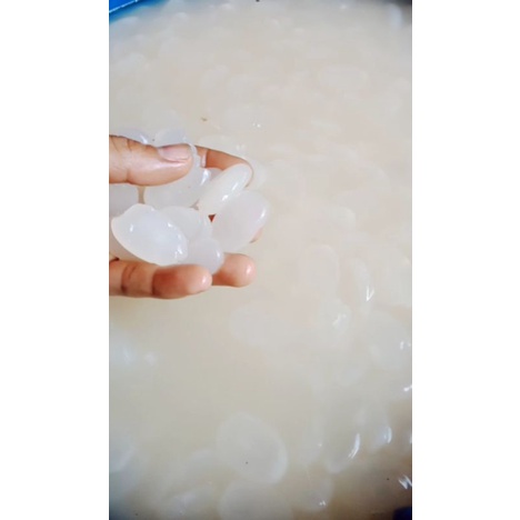 

cangkaleng