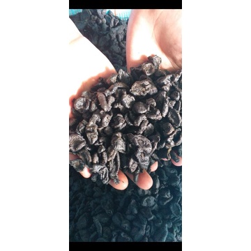 MPOT AYAM / EMPOT AYAM HITAM HARGA PER 1 KILO