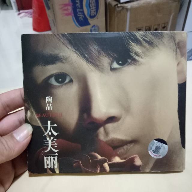 David tao beautiful