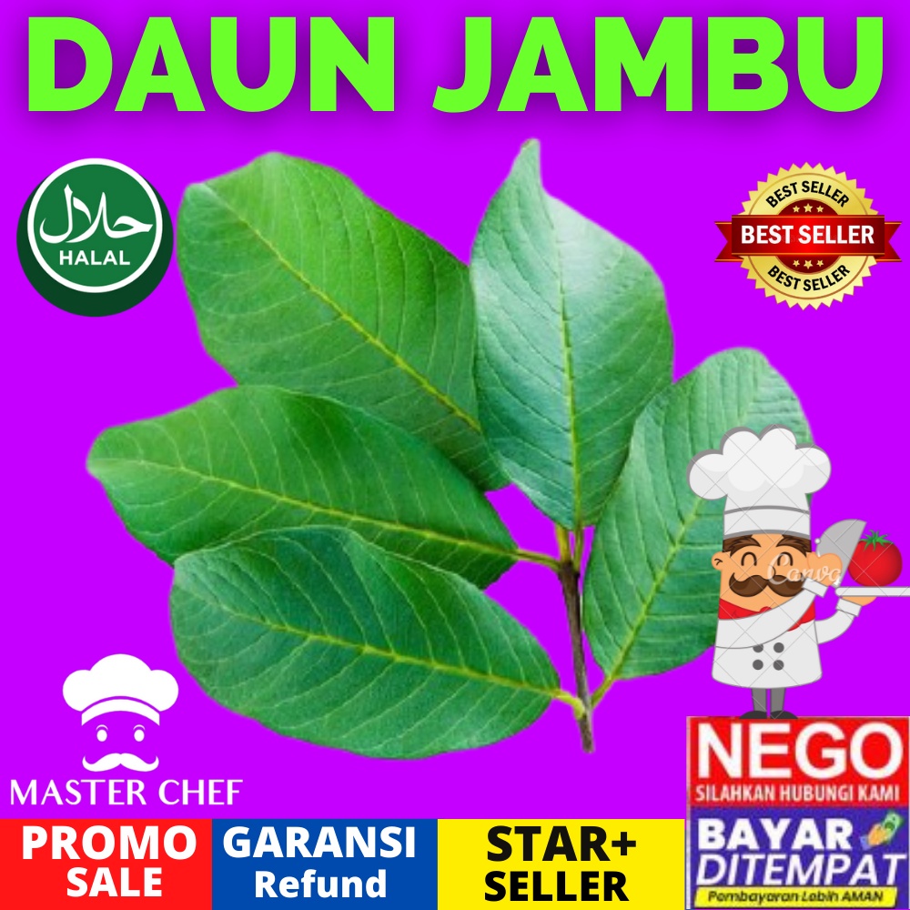 

DAUN JAMBU BIJI SEGAR HIJAU HERBAL KESEHATAN SEGER ASLI ORIGINAL SEHAT OBAT JANTUNG MENSTRUASI