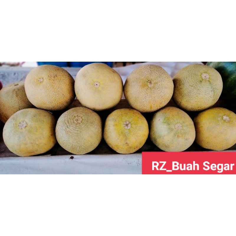 Jual Buah Melon Madu 1 Kg Shopee Indonesia 