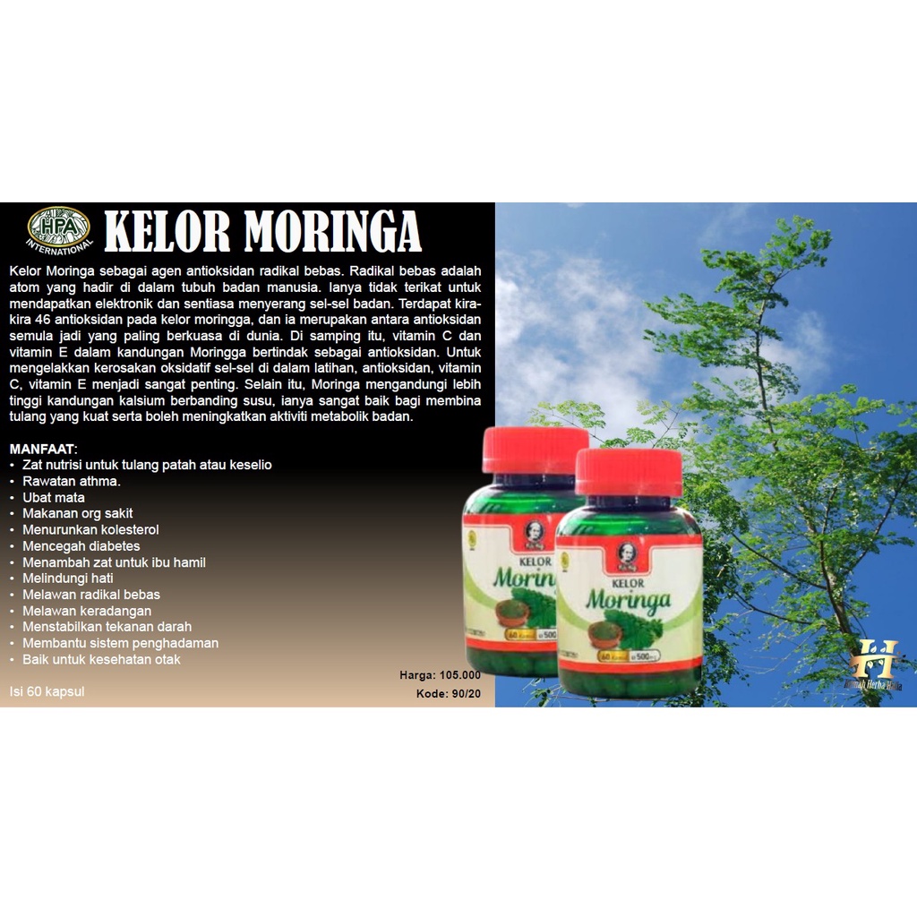 KELOR MORINGGA