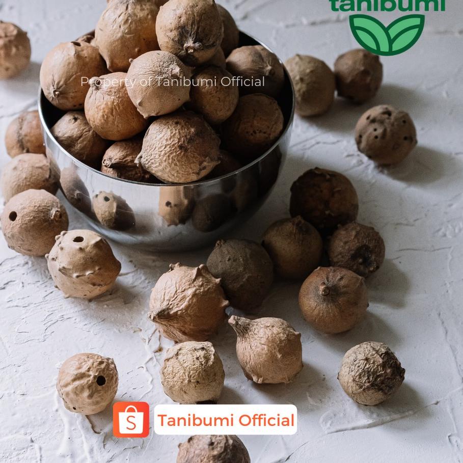 

limited STOCK!Termurah Buah Manjakani | 1kg | Hijau & Putih | Biji Majakani Premium Grade A|SQ6