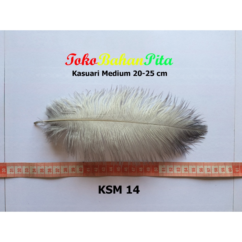 (1 HELAI) BULU DEKORASI 20-25cm KSM 14 | OSTRICH | BULU HIAS | BULU CRAFT | TOKO BAHAN PITA