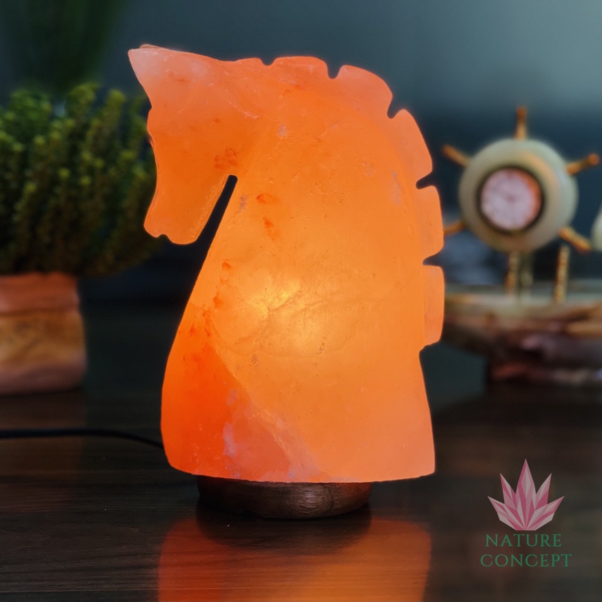 Himalayan Salt Lamp Lampu Kristal Garam Himalaya Unique Shape TERLENGKAP