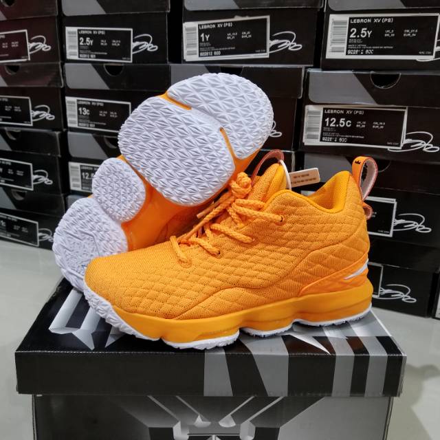 lebron 15 shoe box