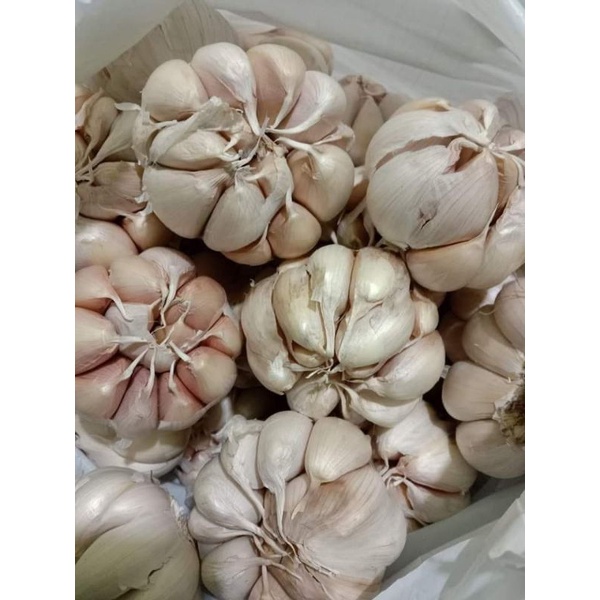 

Bawang Putih 1kg