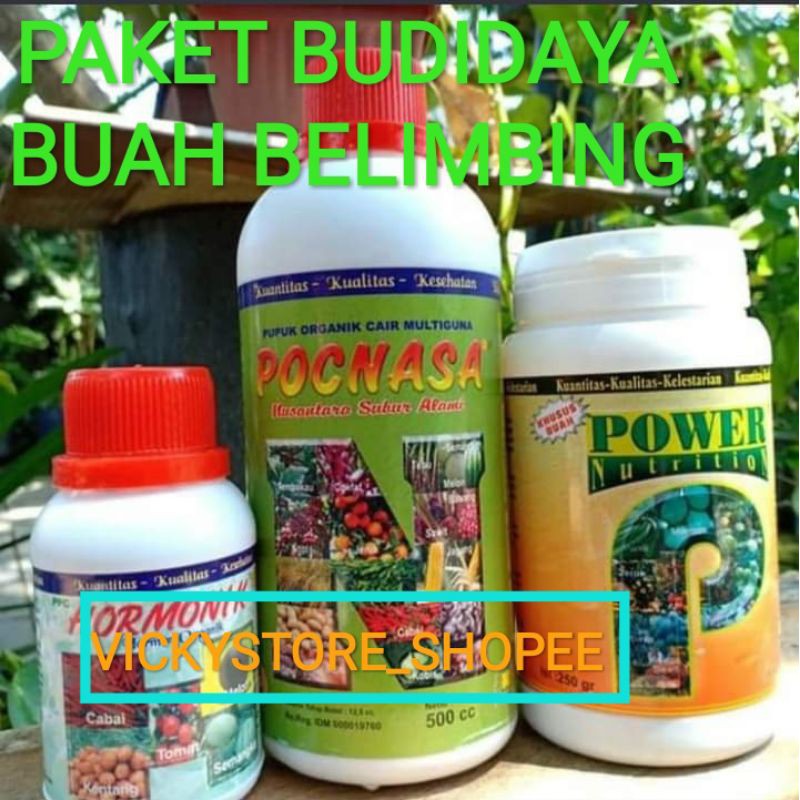 

PAKET BUDIDAYA BUAH BELIMBING