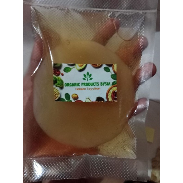 BIBIT SCOBY KOMBUCHA / Jamur DIPO Organik