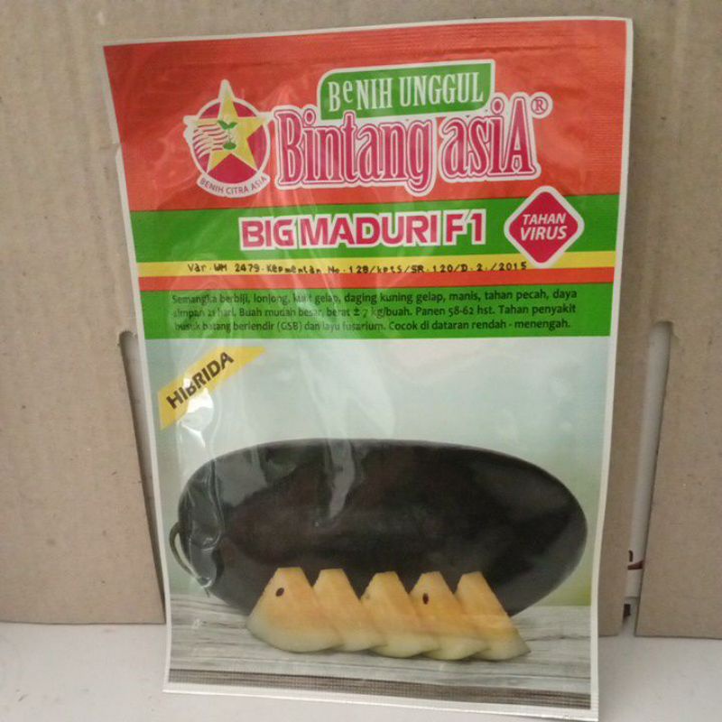 benih semamgka BIG maduri f1 20 gr