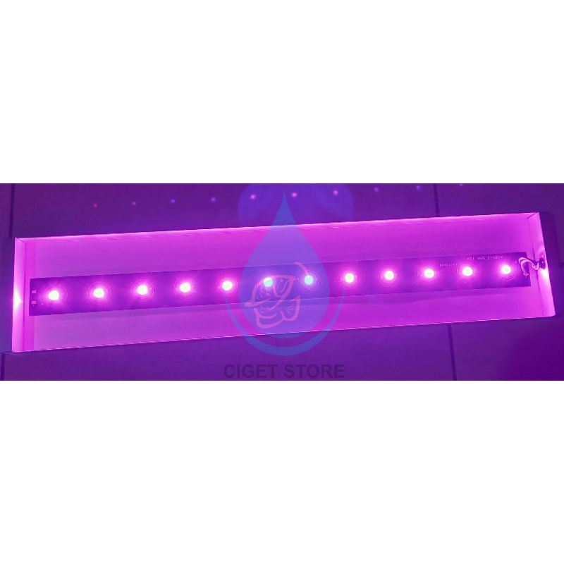 lampu tanning arwana / LED tanning arwana HPL 12 watt 50 cm