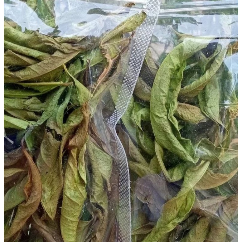 

Daun mahkota dewa kering utuh 105 gram (300++ daun keringlembar) lagi promo