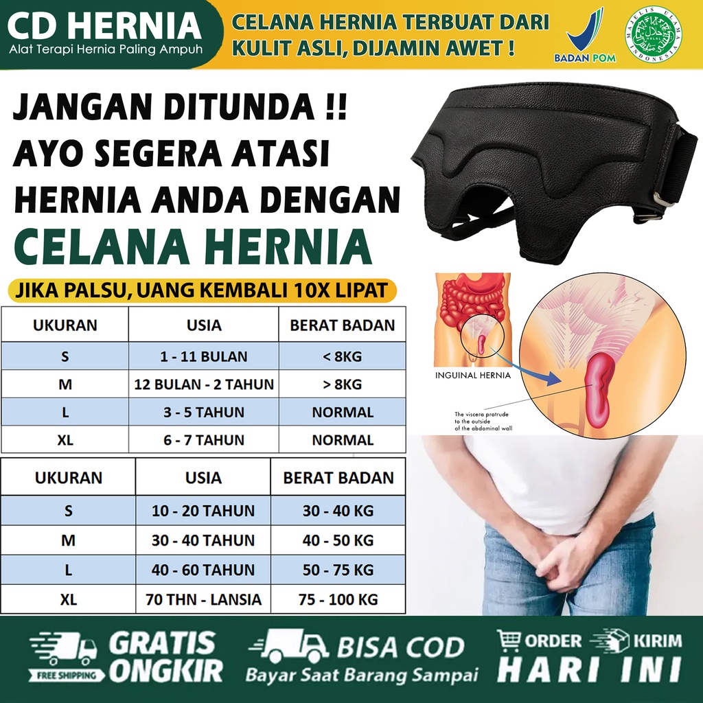 Celana Hernia Pria Dewasa, Celana Dalam Hernia Untuk Pria, Celana Turun Berok Pria AgaricPro Herbal