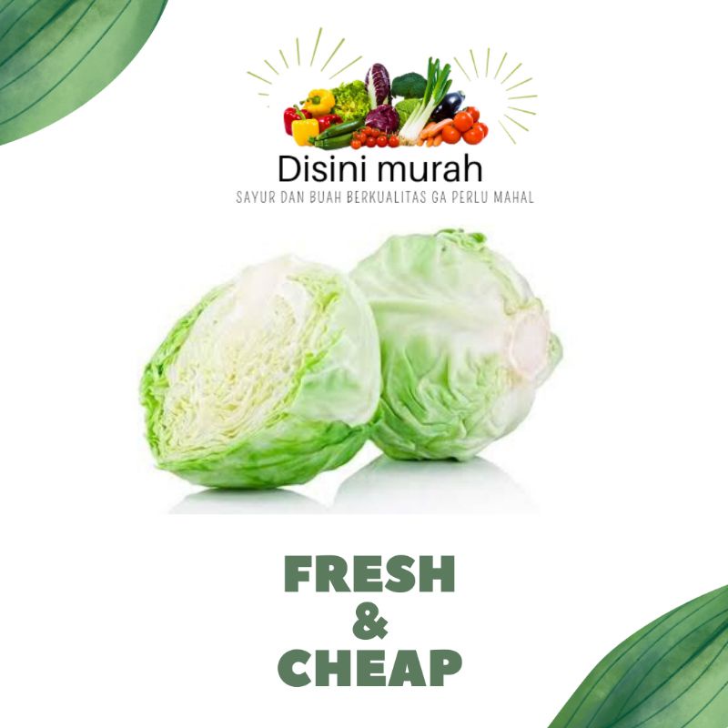 

Kol putih segar 1kg