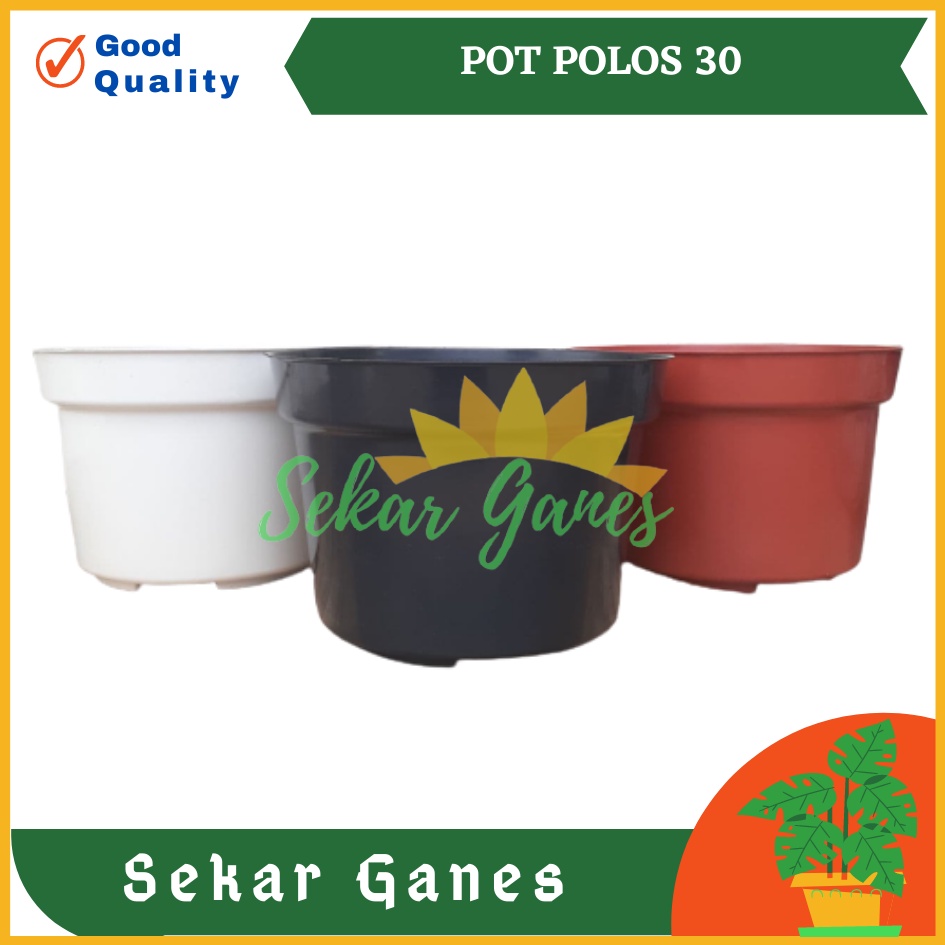 Sekarganes Pot 30 Putih Hitam Merah Bata Coklat Terraccota Terakota Polos Pot Bunga Pot 30 Murah Grosir Lusinan Pot 30 Putih Polos Murah Grosir