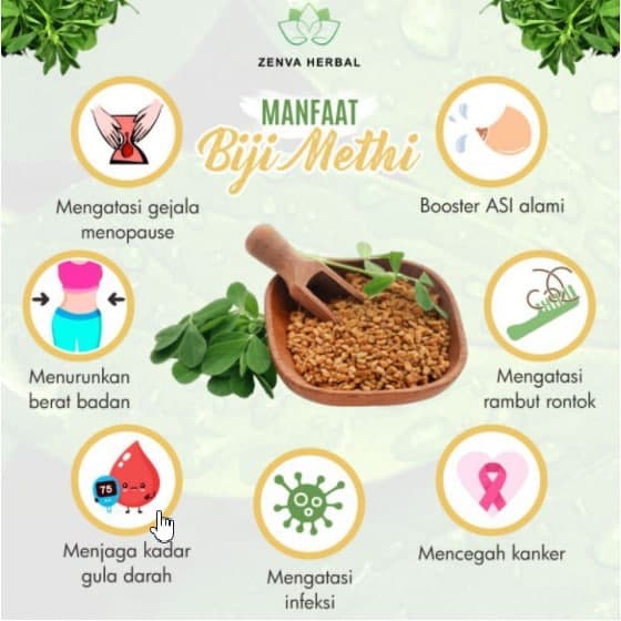 MARKETBIX Original Vanezia Methi Seeds Pembesar Payudara Ampuh Permanen 100%  Aman Tanpa Efek Samping