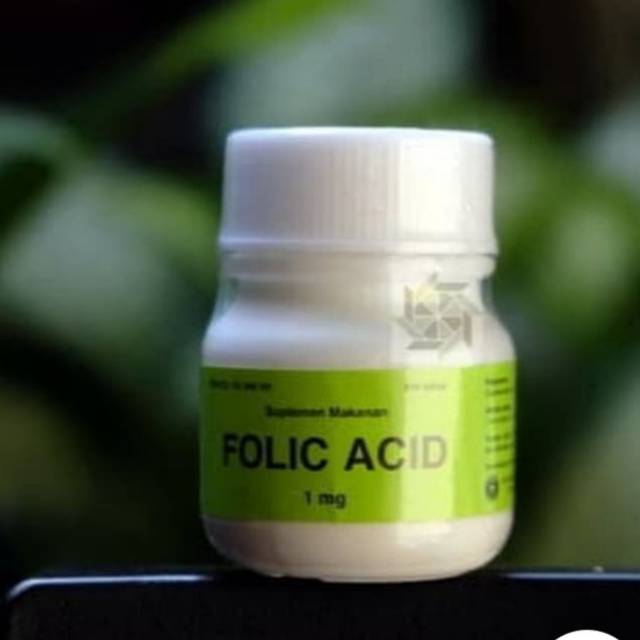 Asam folat 1 mg x 100 tablet