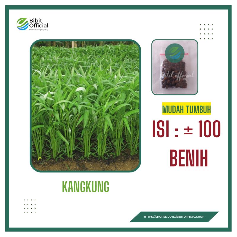100 Benih Bibit Kangkung Daun Sedang Pertiwi Sayuran Hidroponik Hijau Unggul Bibit Tanaman
