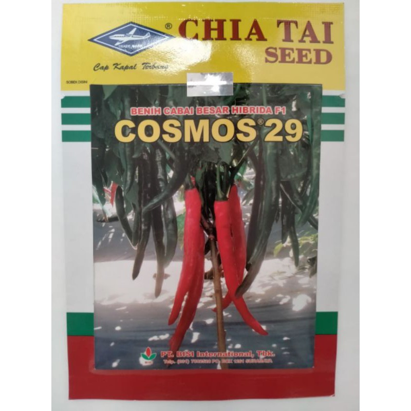 Benih Cabe Besar F1 Cosmos 29 (10 gr)