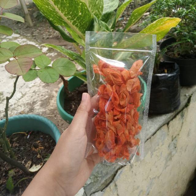 

Kerupi (Keripik Kulit Lumpia) 50gram