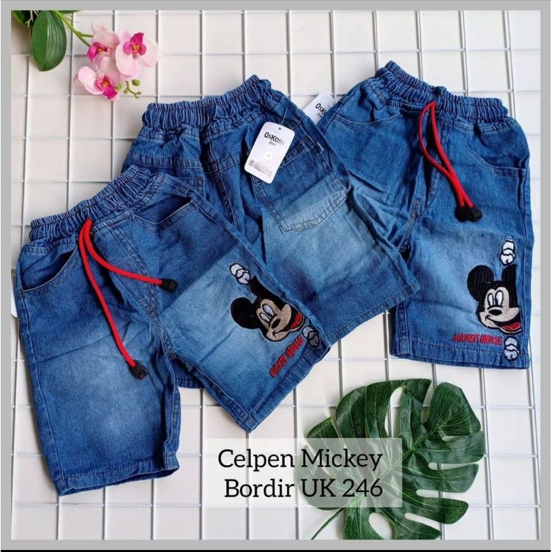 CELPEN MICKEY BORDIR