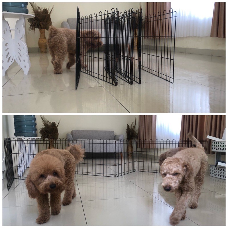 preloved pagar pembatas ruangan anjing / peliharan