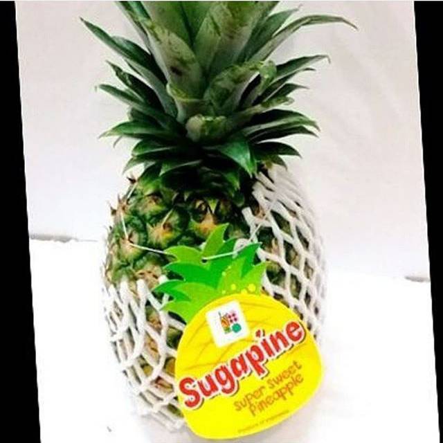 

Nanas dilipina