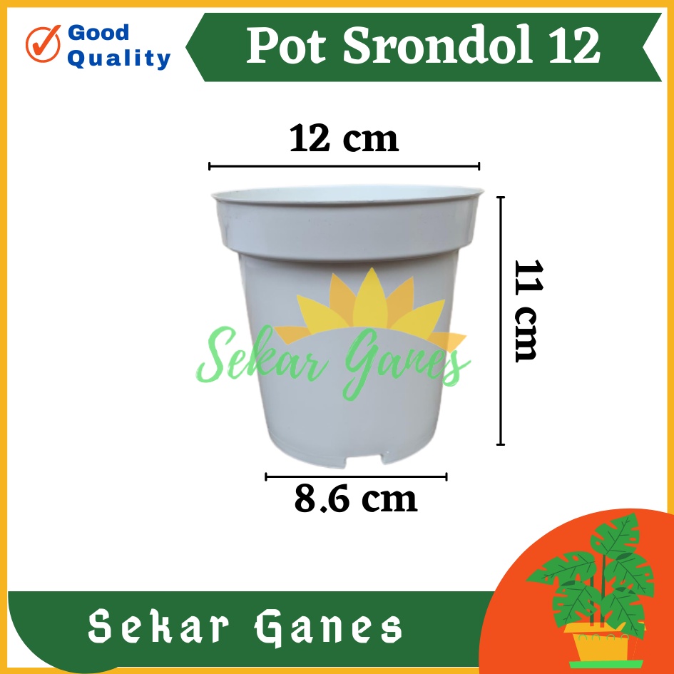 Pot Tinggi Srondol 12 PUTIH - Pot Tinggi Usa Effiel 18 20 25 Lusinan Pot Tinggi Tirus 15 18 20 30 35 40 50 Cm Paket murah isi 1 lusin pot bunga plastik pot tanaman Pot Bibit Besar Mini Kecil Pot Srondol Pot Bunga Termurah Bahan Bagus