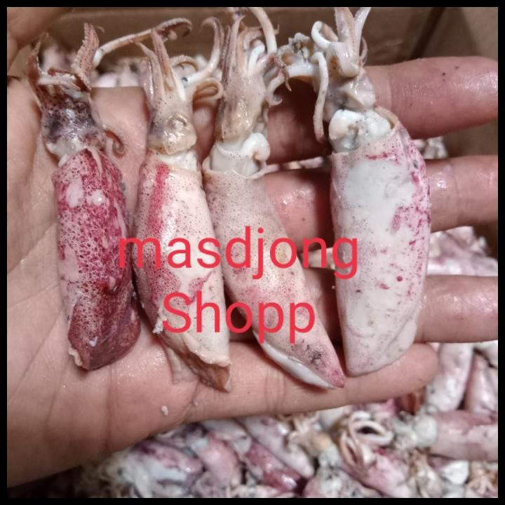 

Cumi Asin Telor Ukuran Besar 500 Gram