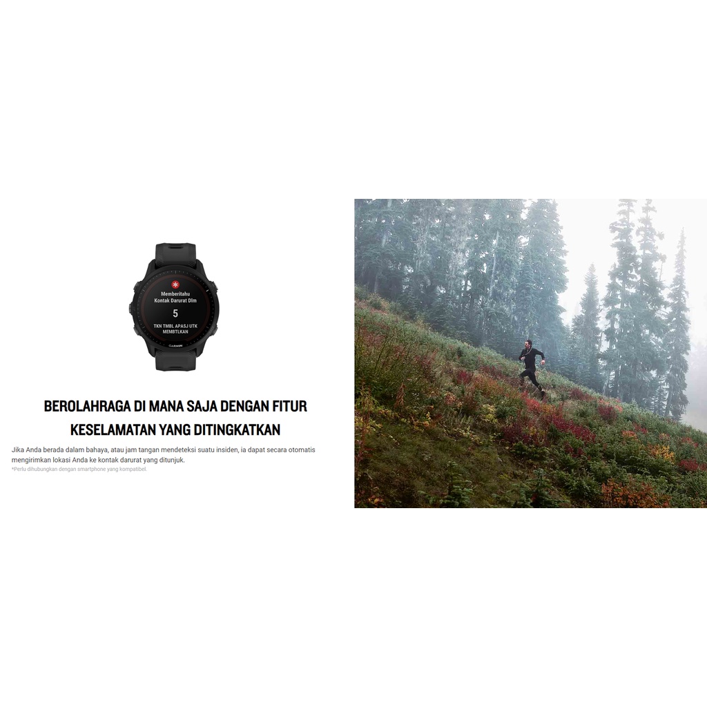 Garmin Forerunner 955 Solar / 955