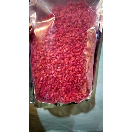 benih jagung kristal merah manggis hibrida 1kg