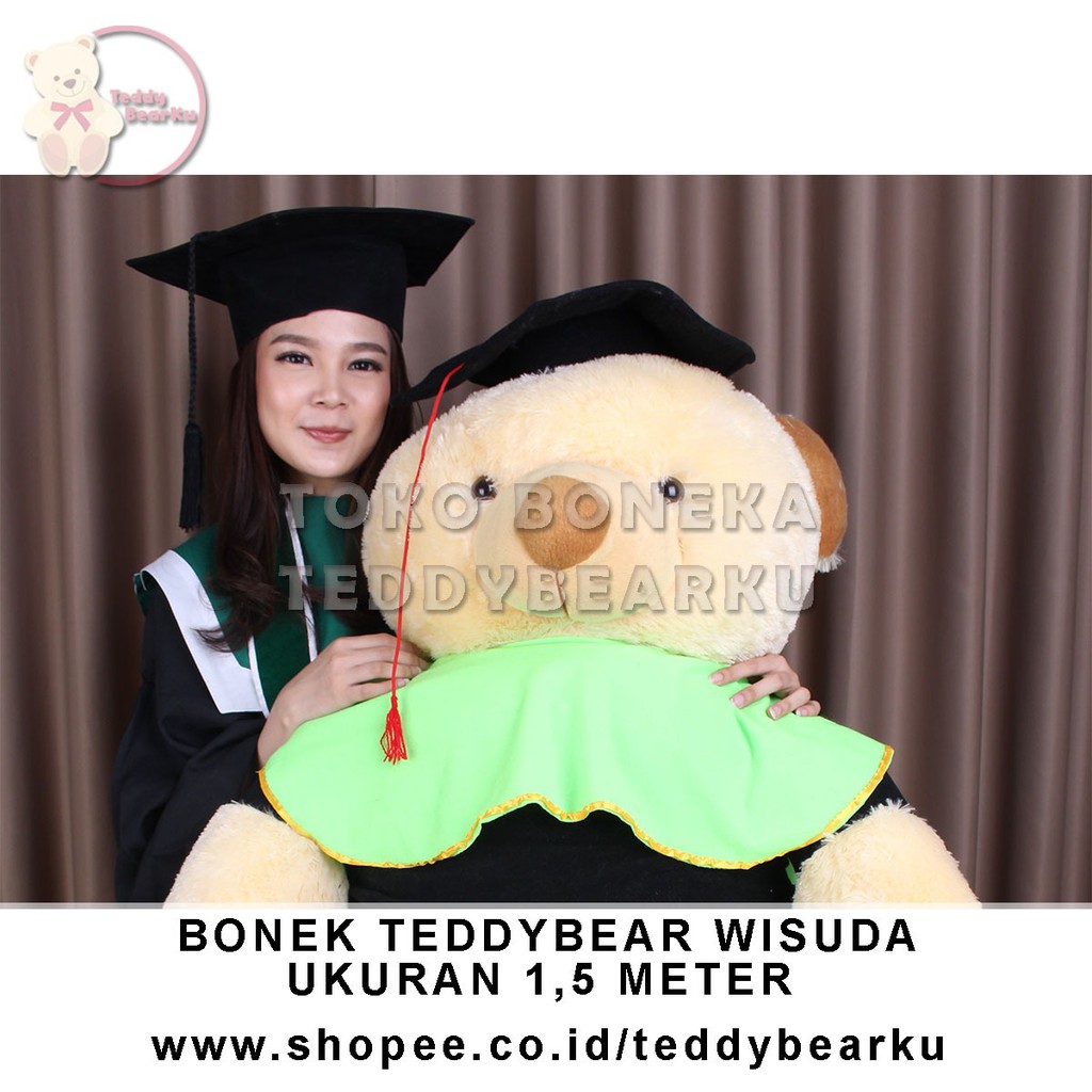 Teddy Bear Special Edisi Wisuda