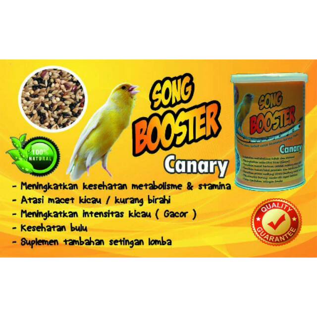 Song Booster Canary Khusus Kenari Pakan Burung Makanan Kenari