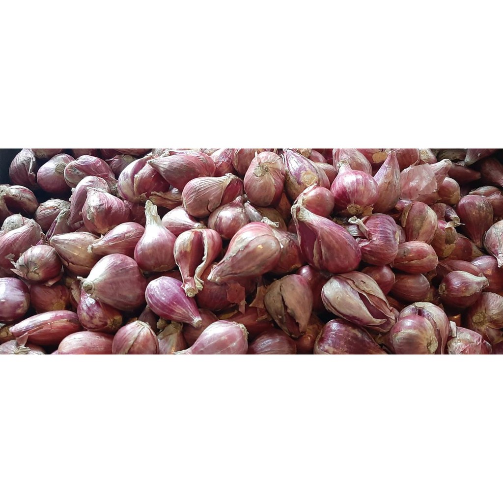 

bawang merah brebes ukuran 200gr