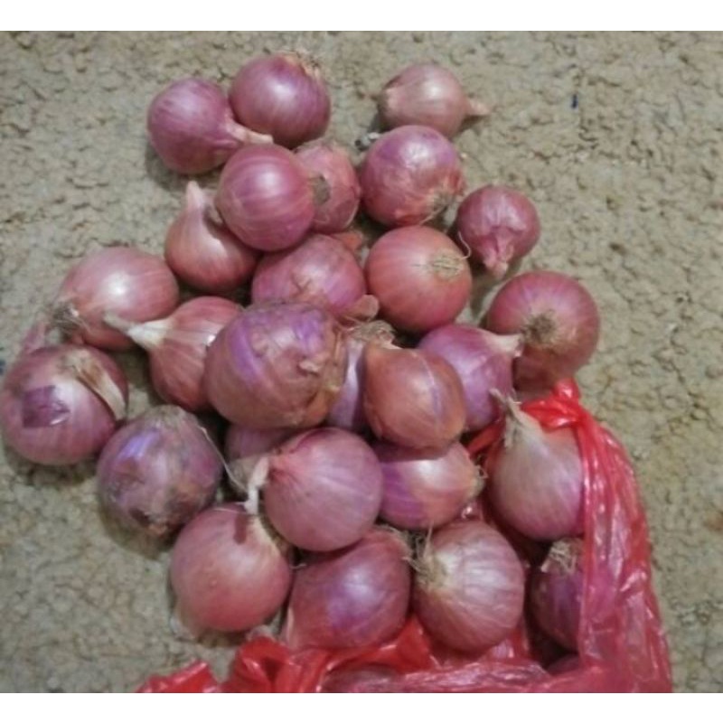 

bawang merah batu