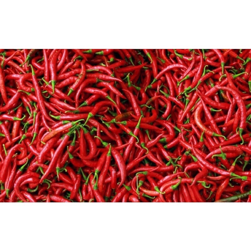 

Cabe merah 1 kg