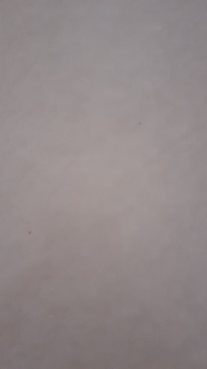 (paket 10 Pcs) Botol Zam Zam 80 Ml