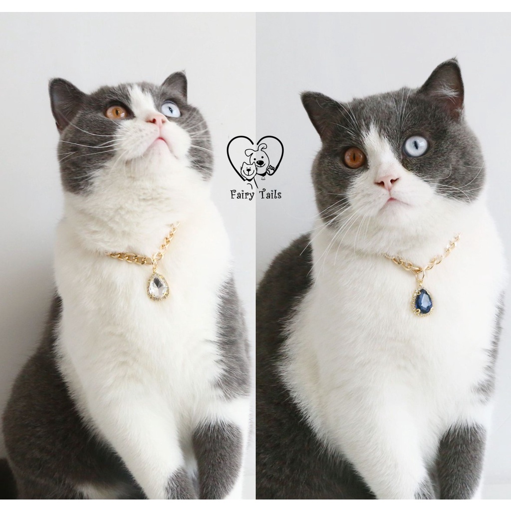 Rantai Kucing Anjing dengan Pendulum Cosplay Anabul Anjing Kucing Kalung Rantai Emas / Gold Chain with Pendant