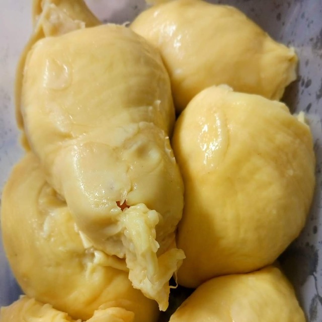 

Durian Montong Palu @durianmontongsulawesi