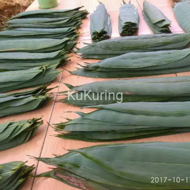 

[ BISA COD ] DAUN BAMBU SEGAR DAN LEBAR UNTUK BUNGKUS BACANG ATAU HERBAL