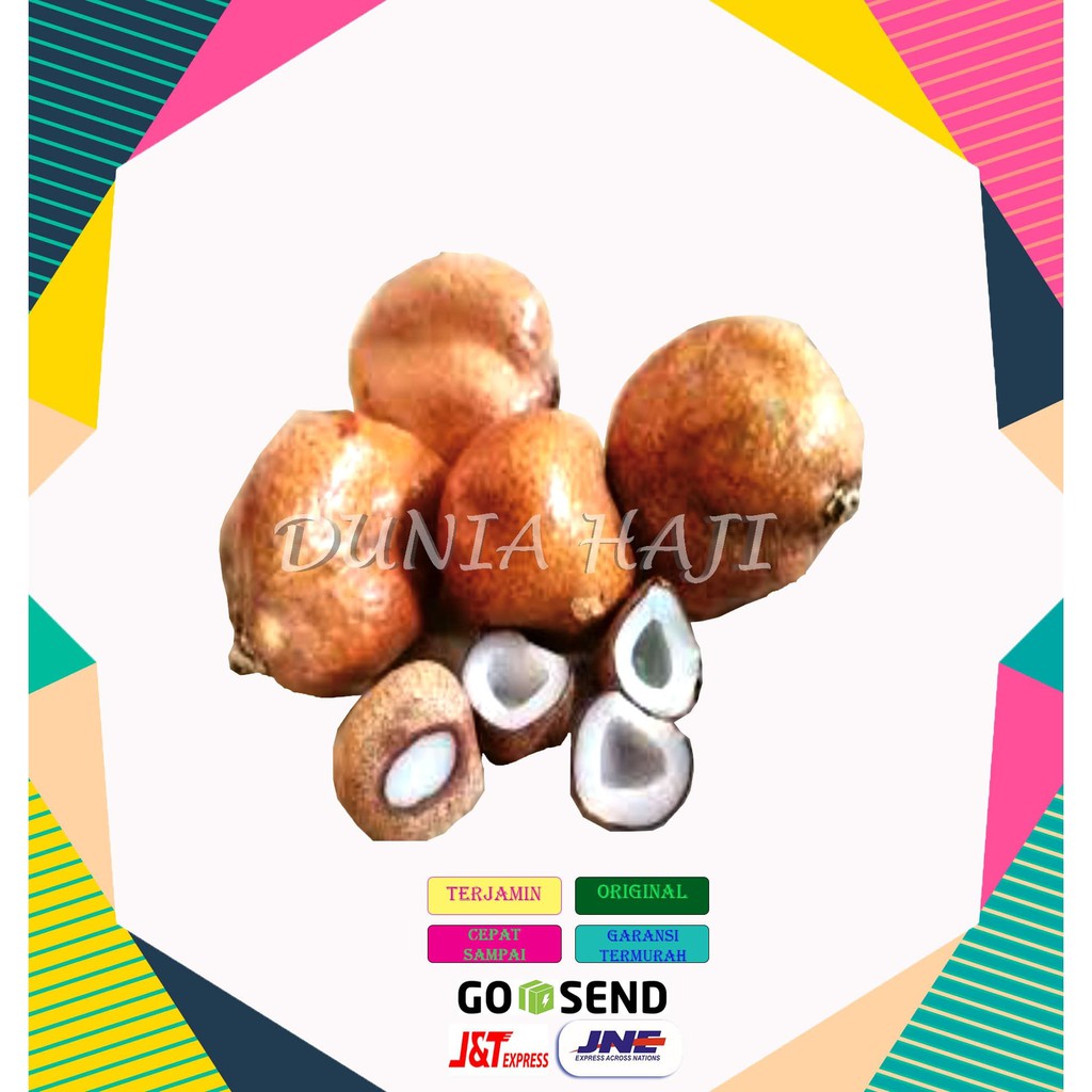 

Promo Buah Zuriat Zuriyat Doum Promil 500Gr utuh ASLI MURAH