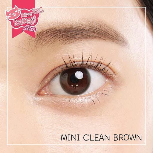 Softlens Kitty Kawaii Mini Clean Brown